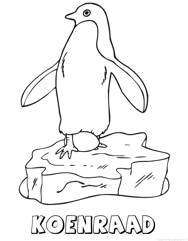 Koenraad pinguin kleurplaat
