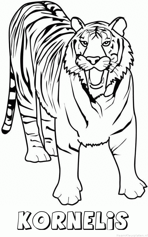 Kornelis tijger 2