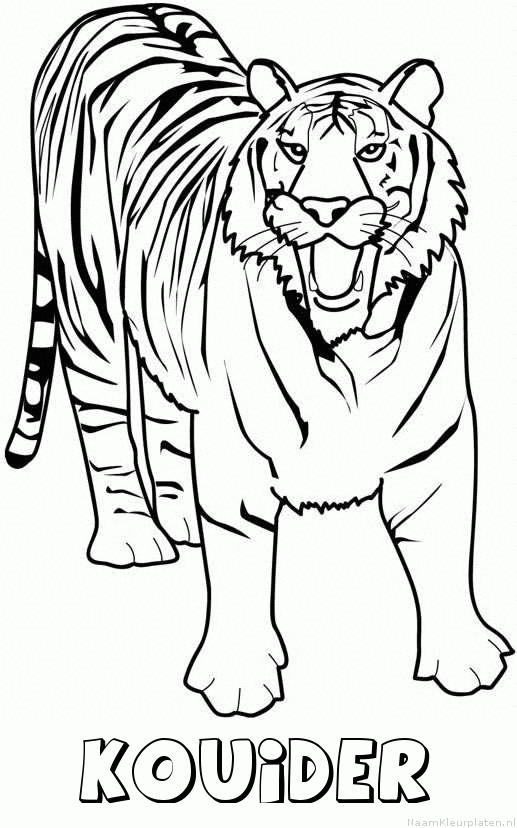 Kouider tijger 2 kleurplaat