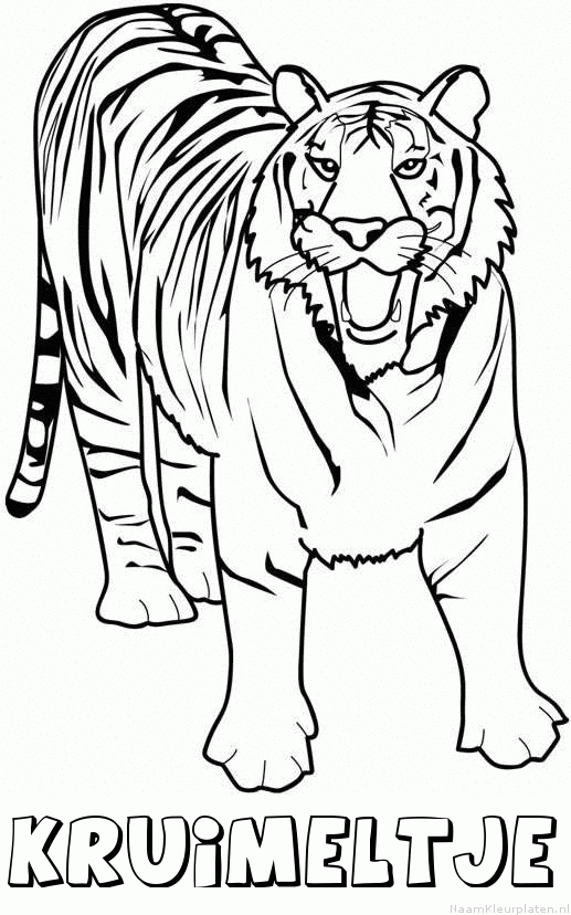 Kruimeltje tijger 2 kleurplaat