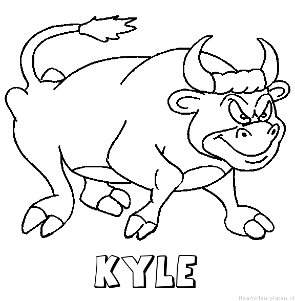 Kyle stier