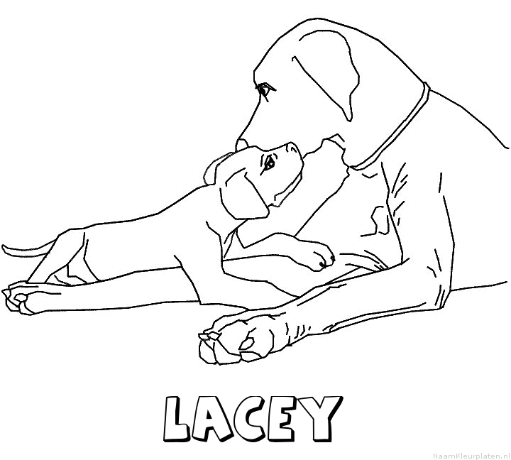 Lacey hond puppy kleurplaat