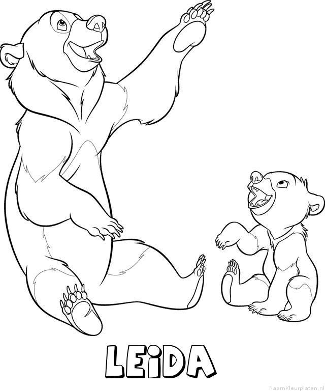 Leida brother bear