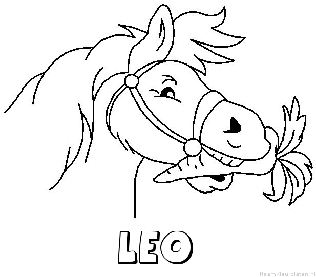 Leo paard van sinterklaas kleurplaat