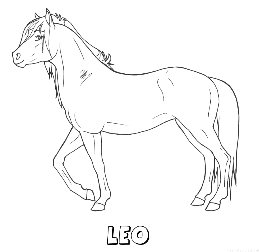 Leo paard kleurplaat