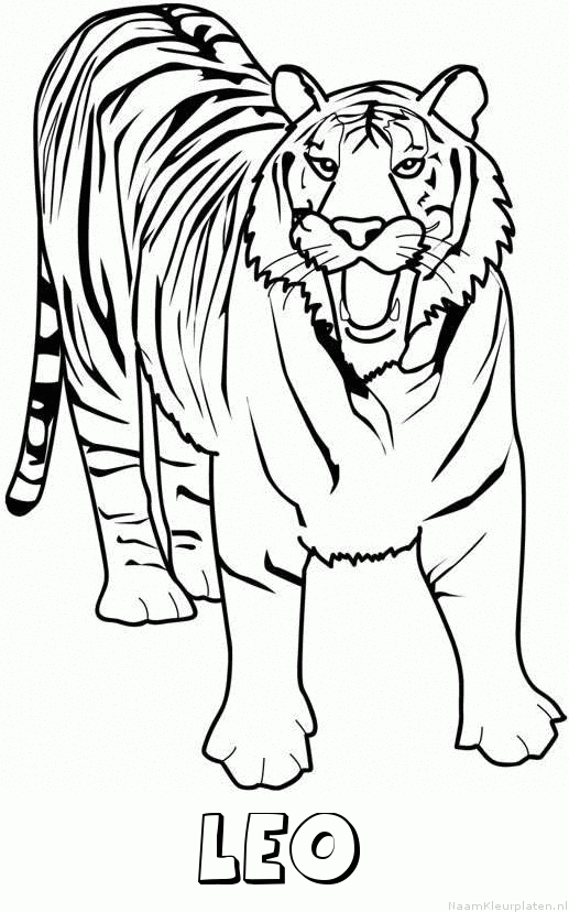 Leo tijger 2