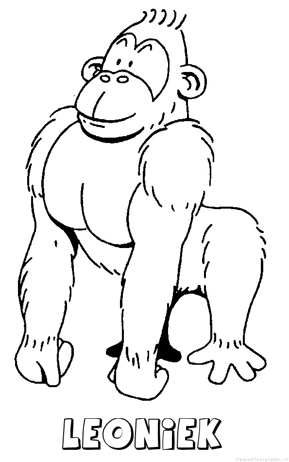 Leoniek aap gorilla