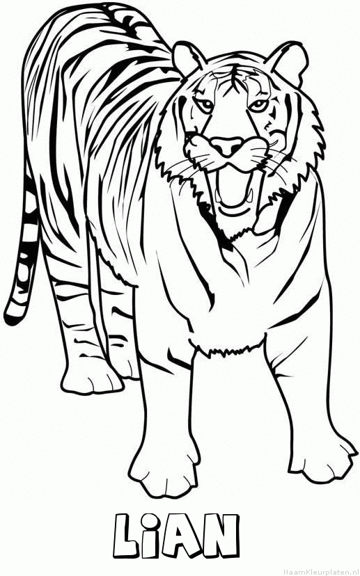 Lian tijger 2 kleurplaat