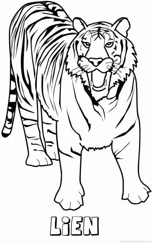 Lien tijger 2 kleurplaat
