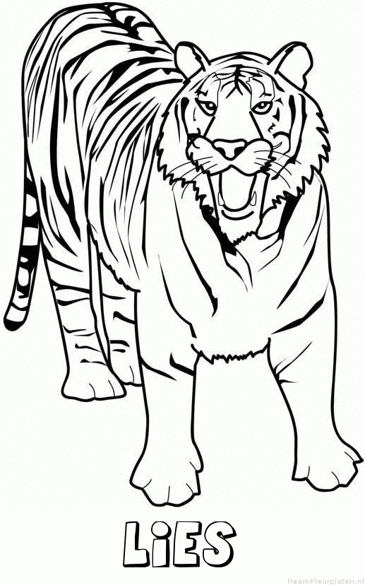 Lies tijger 2 kleurplaat
