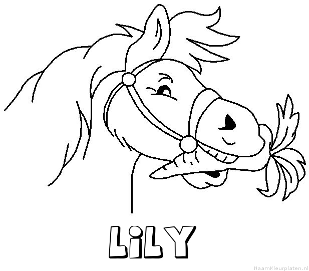 Lily paard van sinterklaas kleurplaat