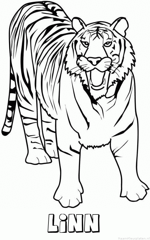 Linn tijger 2 kleurplaat