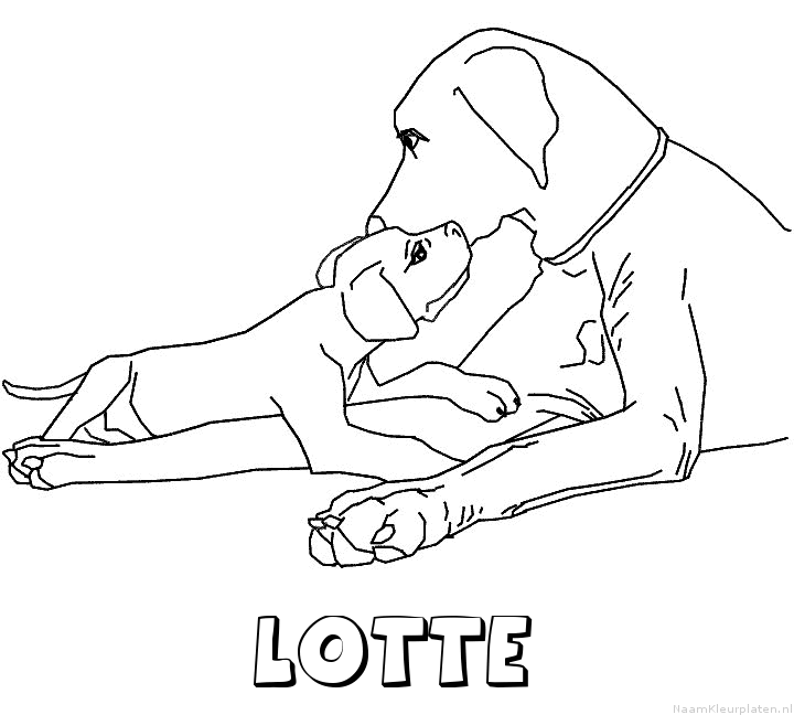Lotte hond puppy kleurplaat