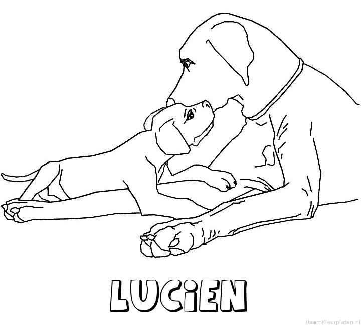 Lucien hond puppy