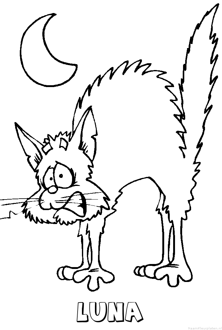 Luna kat