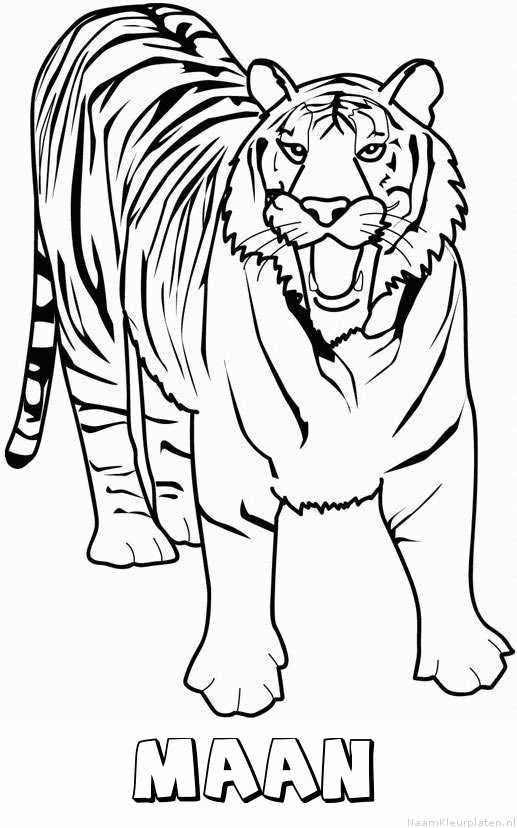 Maan tijger 2 kleurplaat