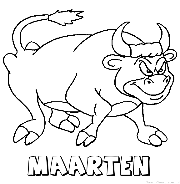 Maarten stier