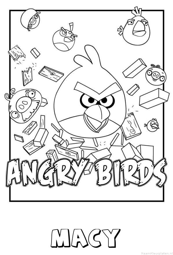 Macy angry birds