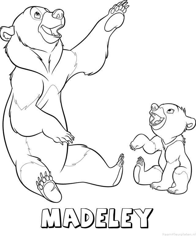 Madeley brother bear