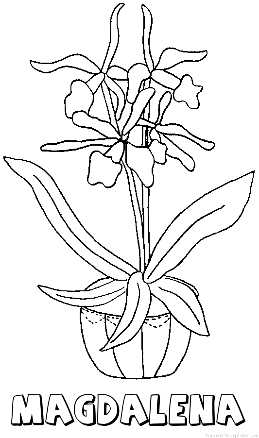 Magdalena bloemen