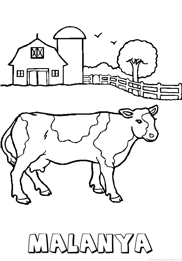 Malanya koe