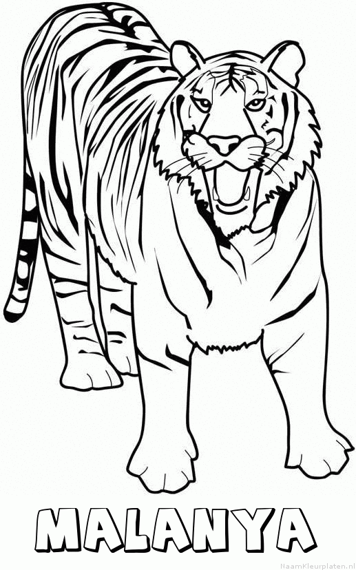 Malanya tijger 2 kleurplaat