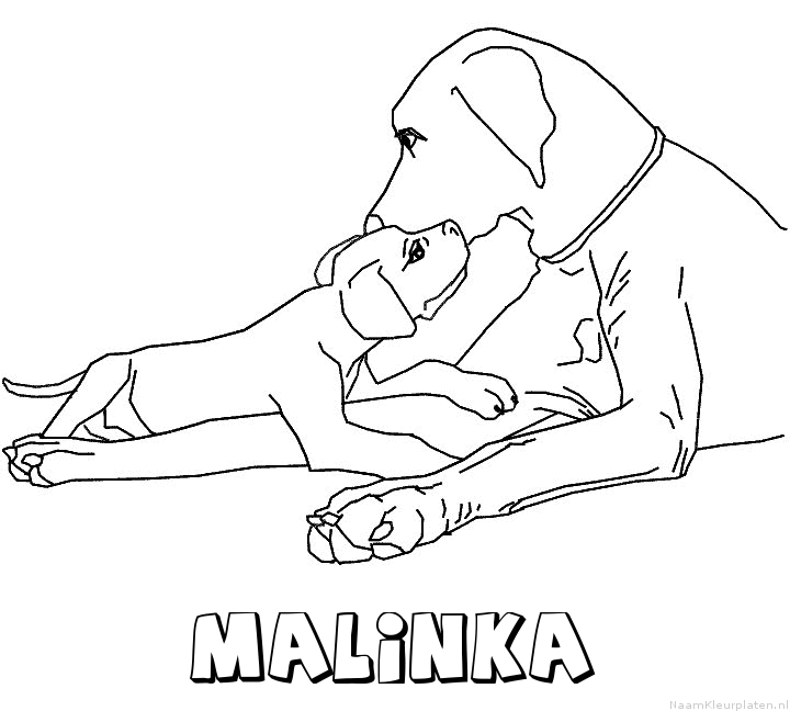 Malinka hond puppy kleurplaat