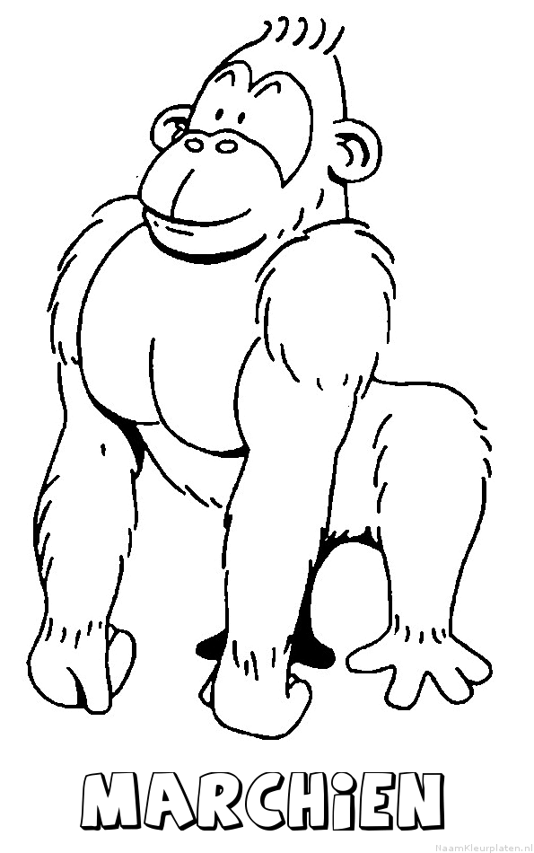 Marchien aap gorilla