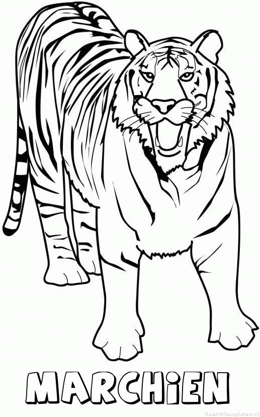 Marchien tijger 2 kleurplaat