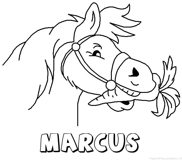 Marcus paard van sinterklaas kleurplaat