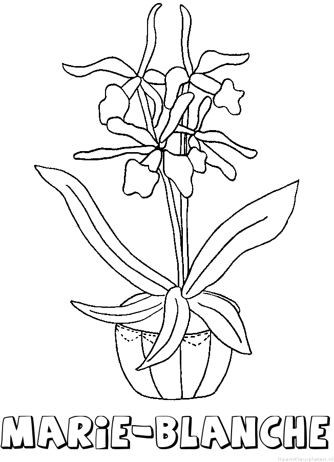 Marie blanche bloemen kleurplaat