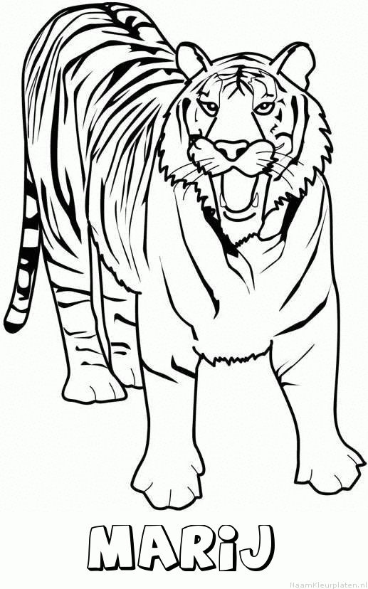 Marij tijger 2 kleurplaat