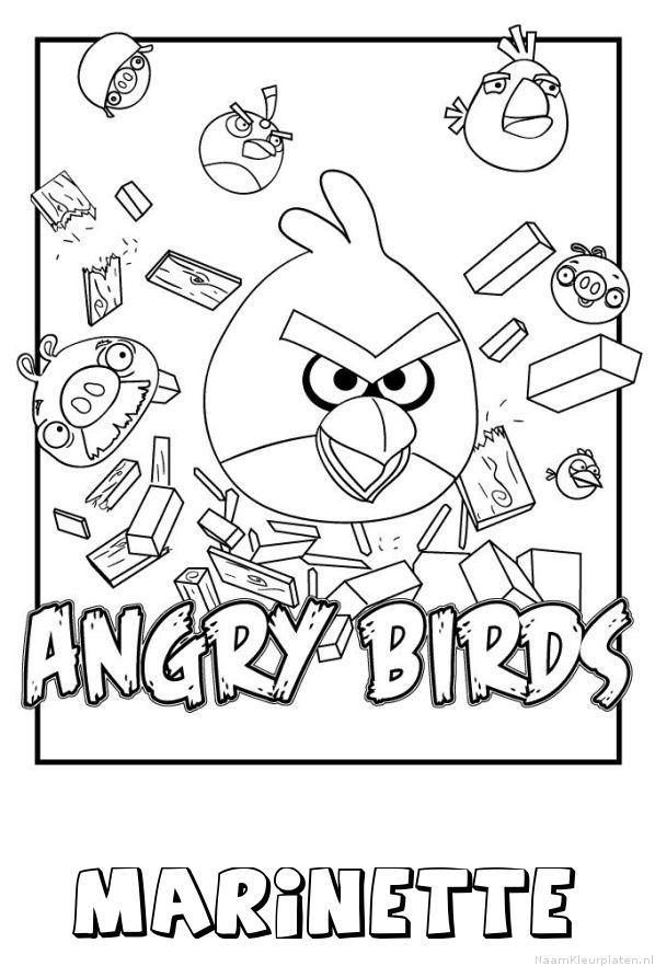 Marinette angry birds