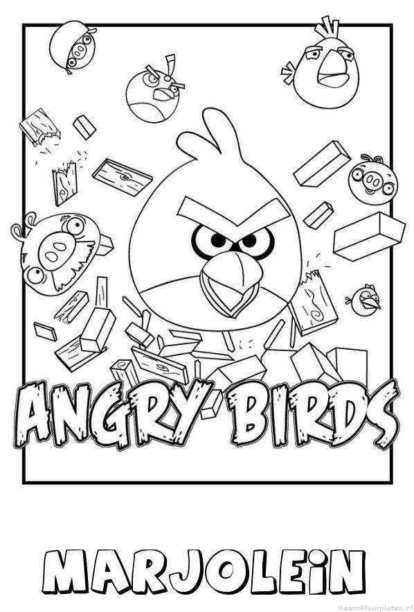 Marjolein angry birds