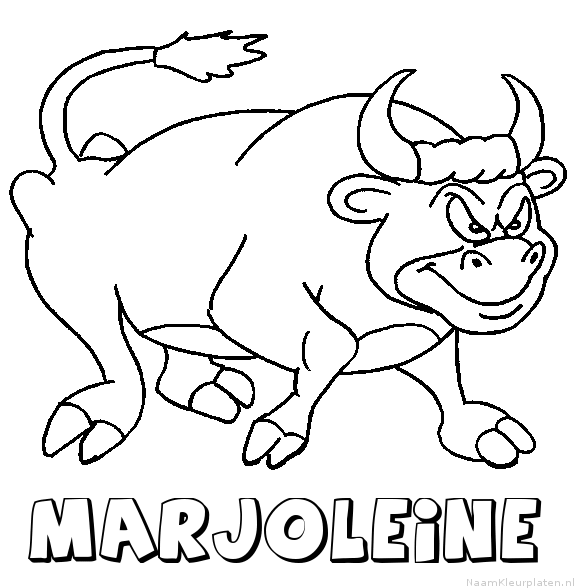 Marjoleine stier