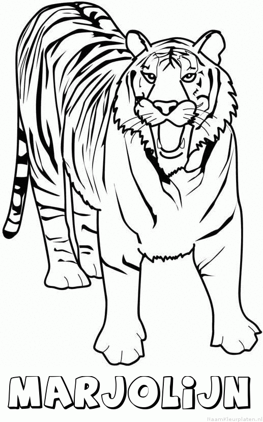 Marjolijn tijger 2