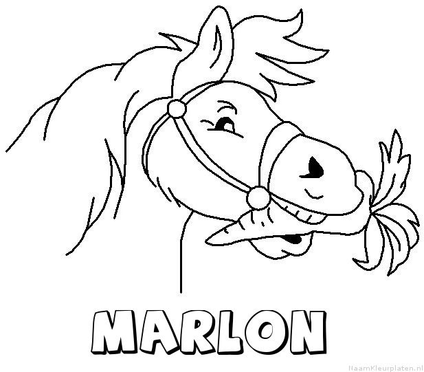 Marlon paard van sinterklaas kleurplaat