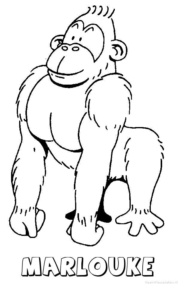Marlouke aap gorilla