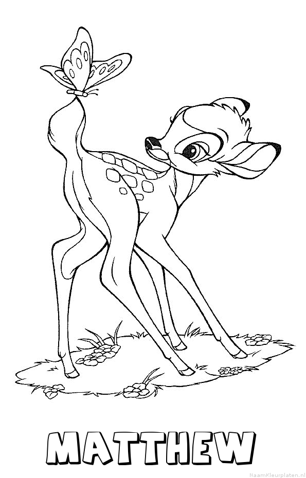 Matthew bambi