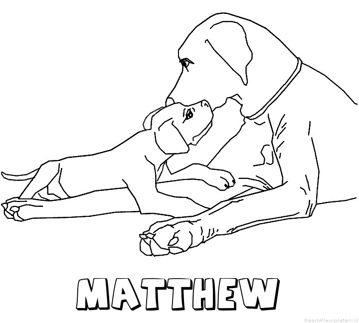 Matthew hond puppy kleurplaat