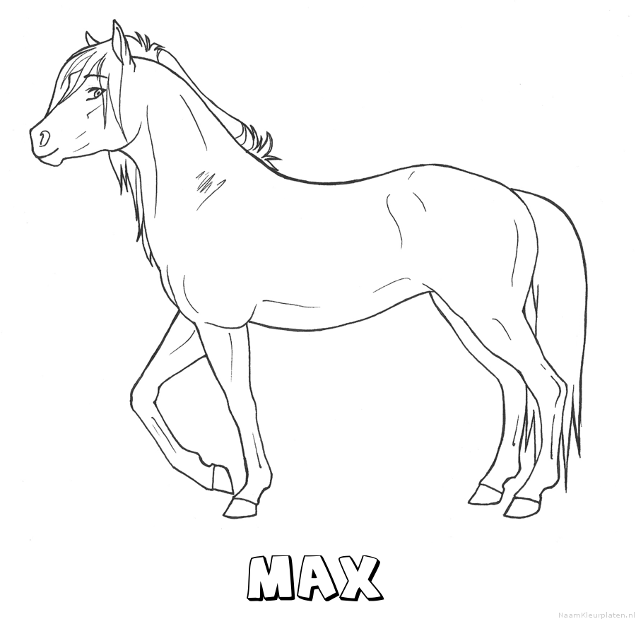 Max paard