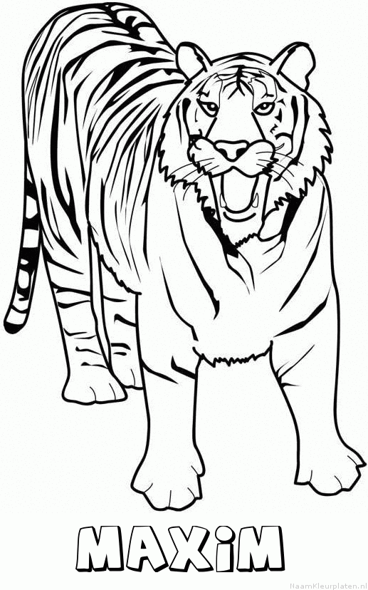 Maxim tijger 2 kleurplaat
