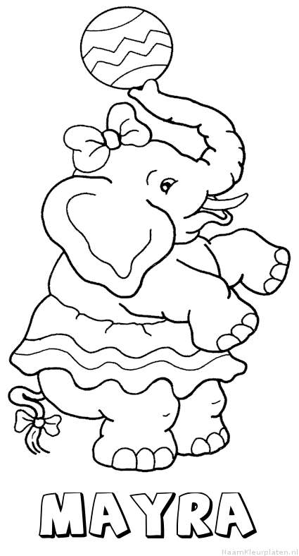 Mayra olifant