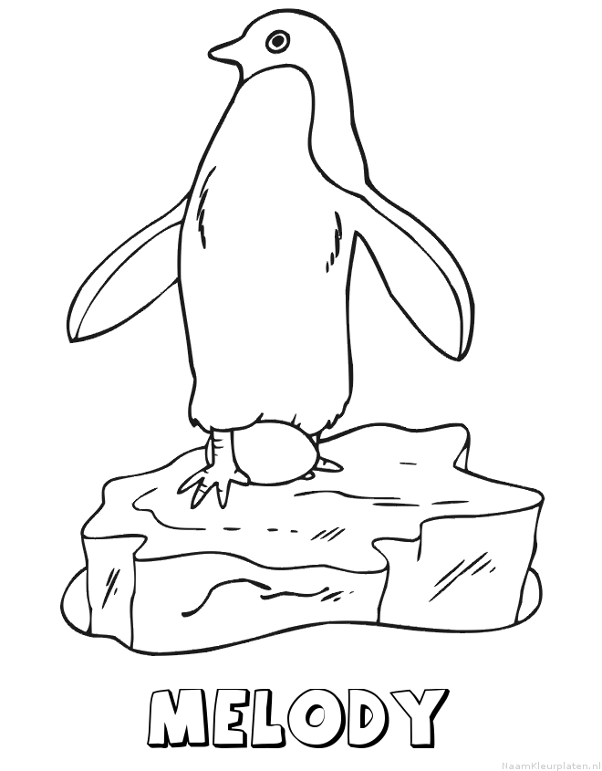 Melody pinguin