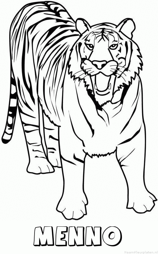 Menno tijger 2