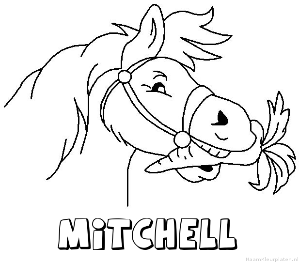 Mitchell paard van sinterklaas kleurplaat
