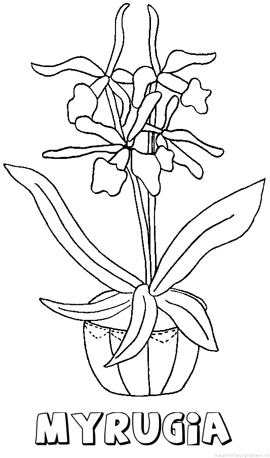 Myrugia bloemen kleurplaat
