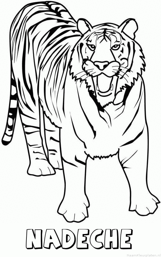 Nadeche tijger 2 kleurplaat