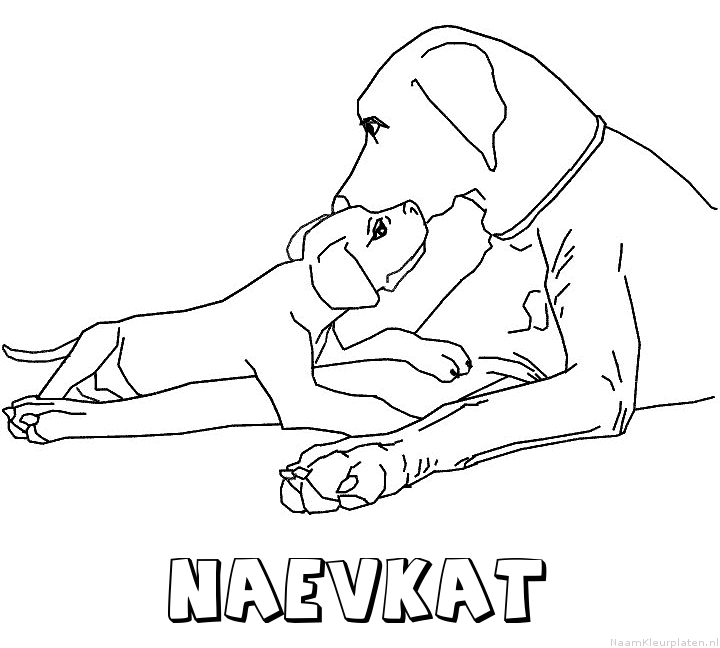 Naevkat hond puppy