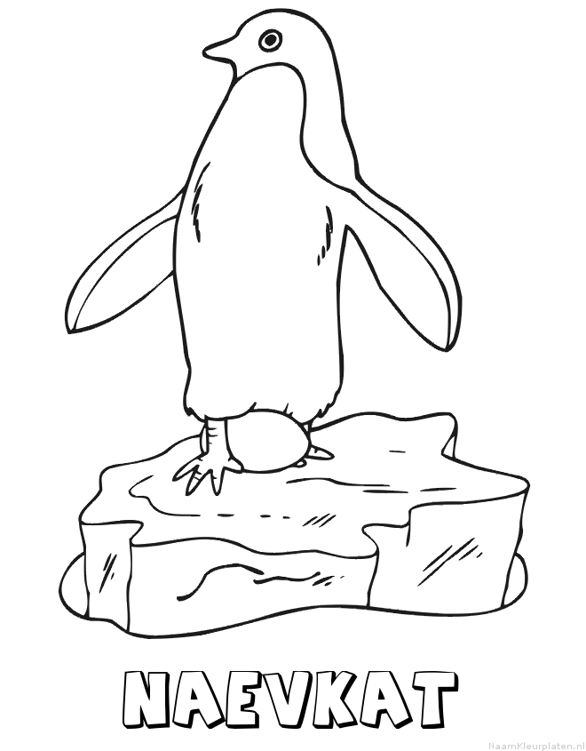 Naevkat pinguin kleurplaat
